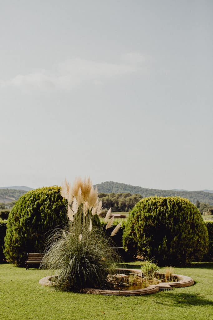 Jardin ensoleillé avec grand pampas grass aux plumes dorées près d'un bassin. Pelouse verte, buissons arrondis et collines boisées à l'horizon.