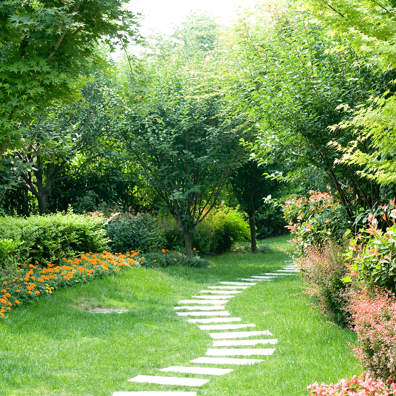 Allée sinueuse de dalles claires traversant une pelouse verte luxuriante, bordée d'arbres et de fleurs orange et roses.
