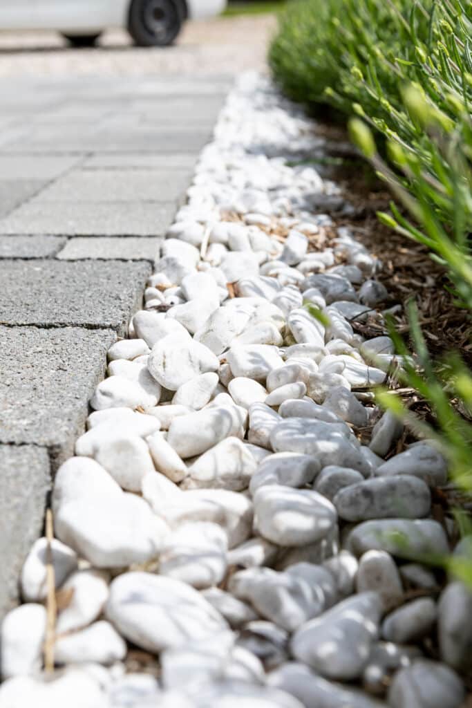 Galets blancs brillants bordant un chemin pavé gris, avec des plantes vertes et du paillis à droite sous un soleil éclatant.