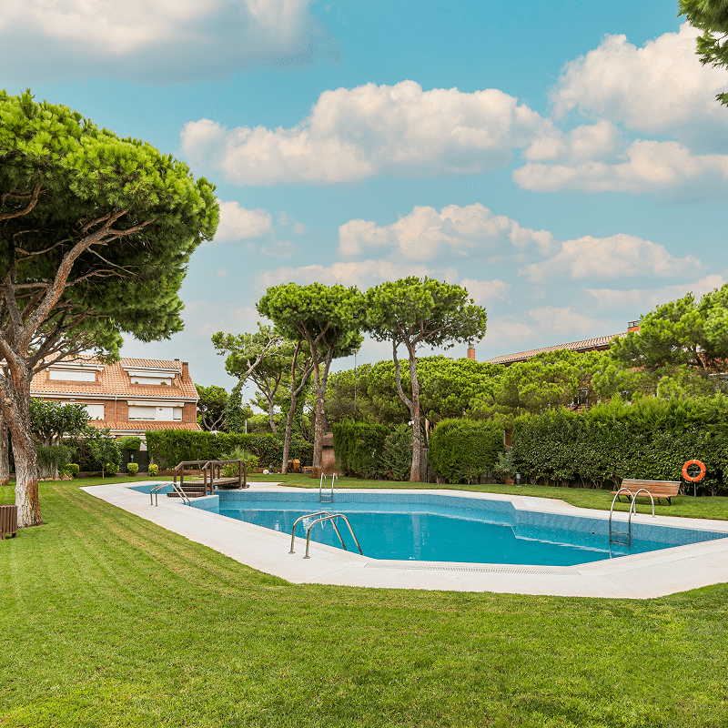 Piscine bleue moderne dans un jardin verdoyant avec pelouse, grands pins et une maison aux tuiles rouges sous un ciel ensoleillé.